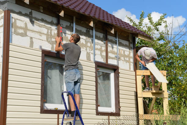Best Hoarding Cleanup  in Elmore, OH